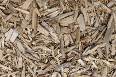 biomass boilers Pontblyddyn